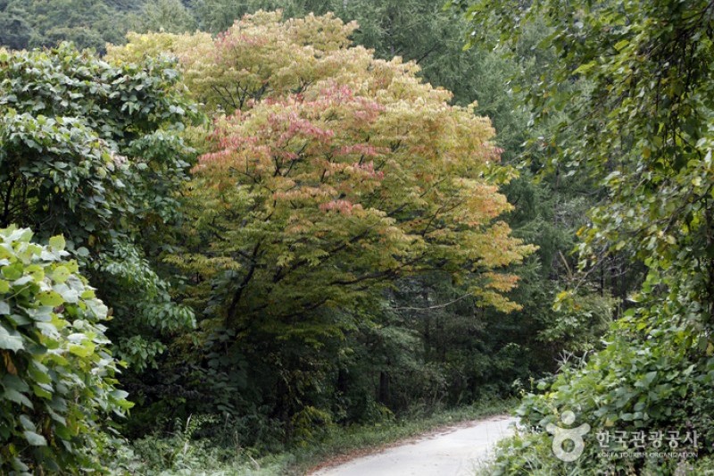 Sobaeksan National Park  (21/25)
