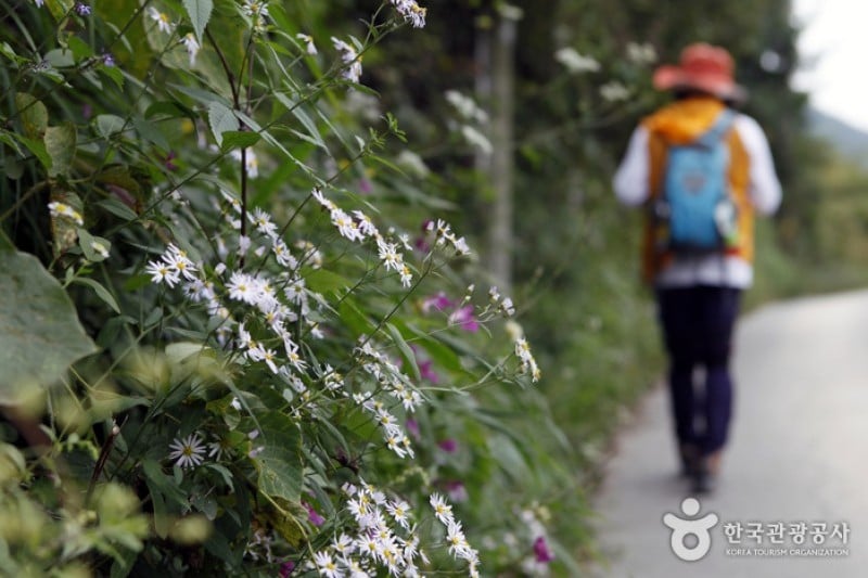 Sobaeksan National Park  (22/25)