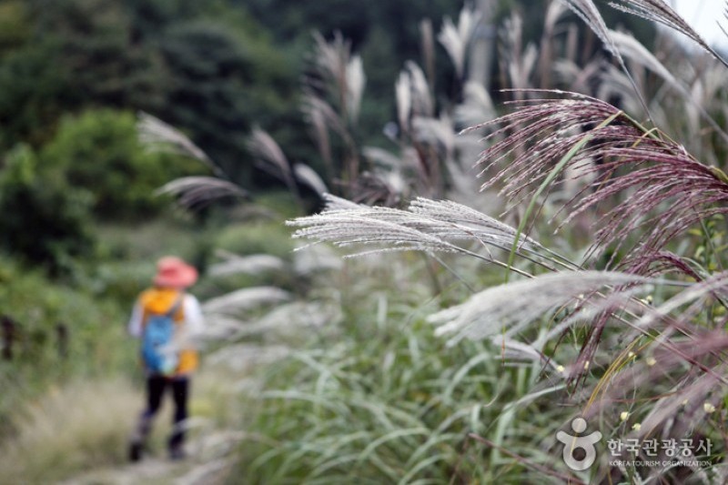 Sobaeksan National Park  (24/25)