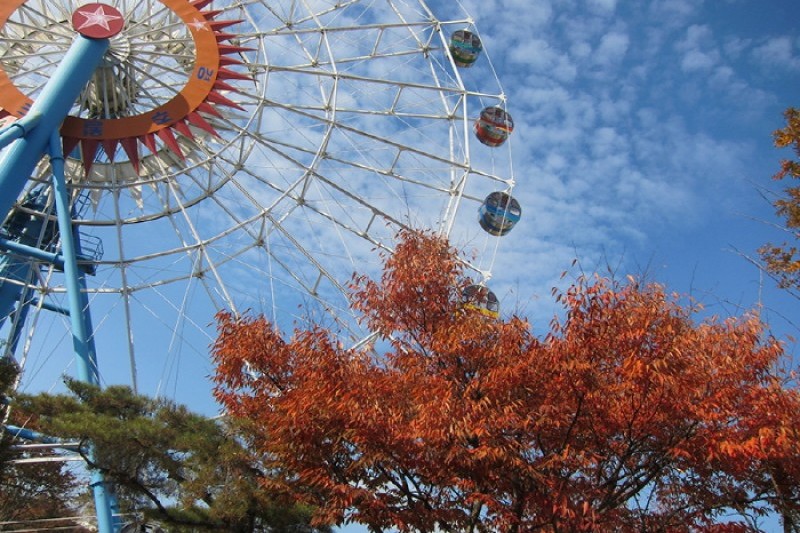 Gyeongju World Amusement Park  (6/6)