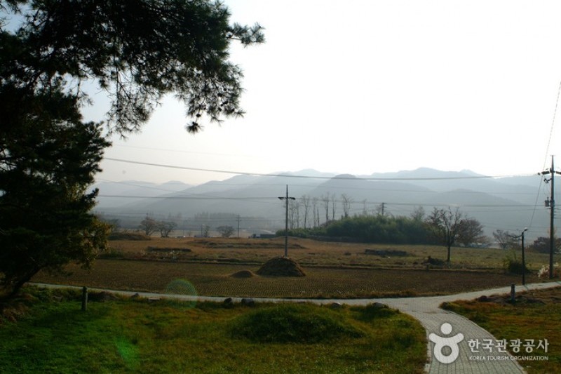 Royal Tomb of Queen Seondeok  (2/8)