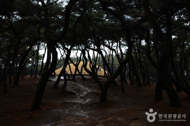 Royal Tomb of Queen Seondeok  (7/8)
