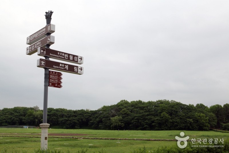 Gyeongju Wolseong Palace Site  (1/3)