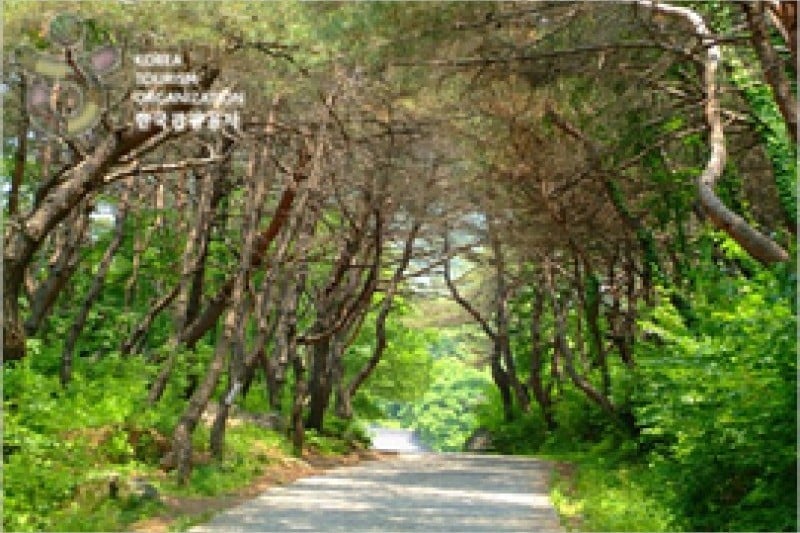 Bongjeongsa Temple  (2/15)