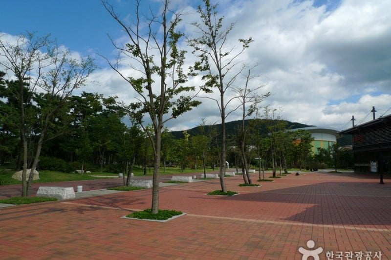 Gyeongju World Culture Expo Park  (3/26)