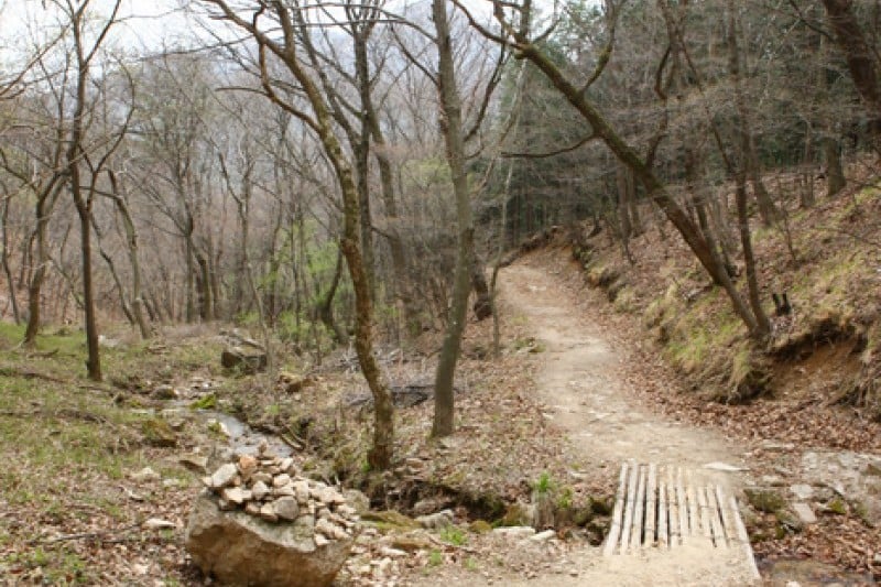 Mungyeong Saejae Provincial Park  (5/46)