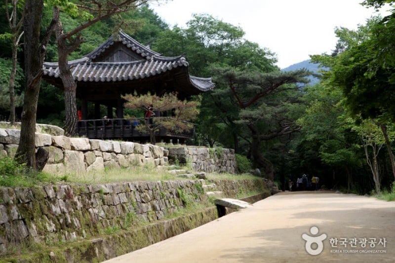 Mungyeong Saejae Provincial Park  (12/46)
