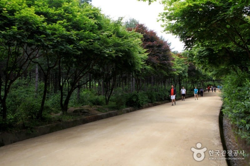 Mungyeong Saejae Provincial Park  (13/46)