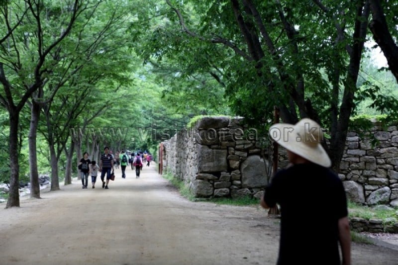 Mungyeong Saejae Provincial Park  (14/46)