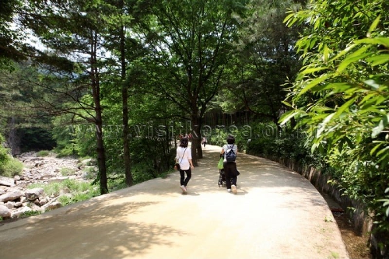Mungyeong Saejae Provincial Park  (15/46)