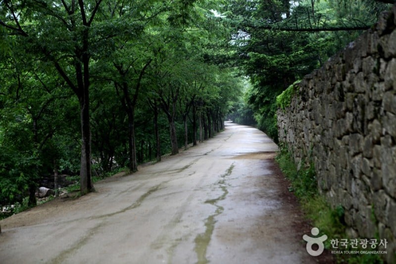 Mungyeong Saejae Provincial Park  (17/46)