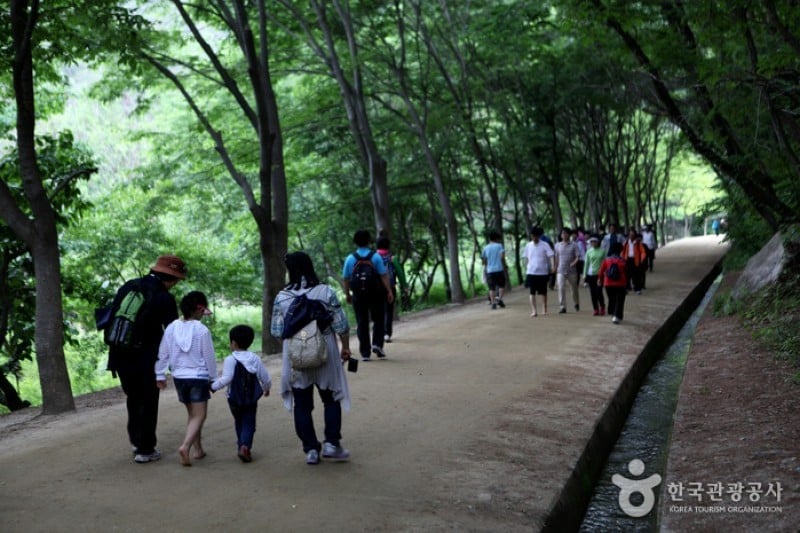 Mungyeong Saejae Provincial Park  (18/46)