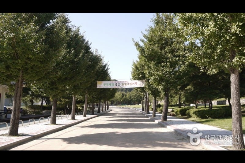 Mungyeong Saejae Provincial Park  (23/46)