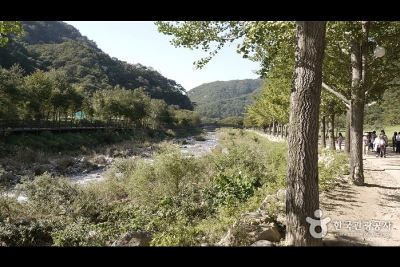Mungyeong Saejae Provincial Park  (26/46)