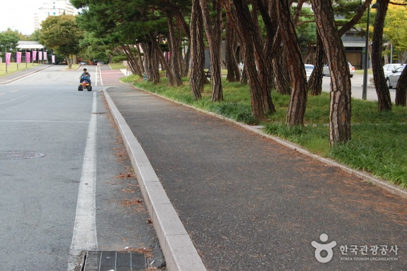 Gyeongju Hilton Hotel  (6/46)