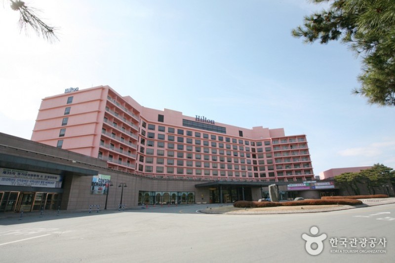 Gyeongju Hilton Hotel  (19/46)