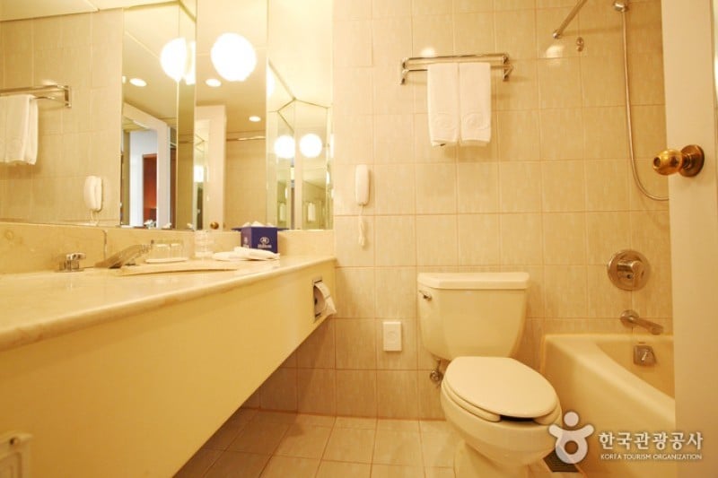 Gyeongju Hilton Hotel  (31/46)