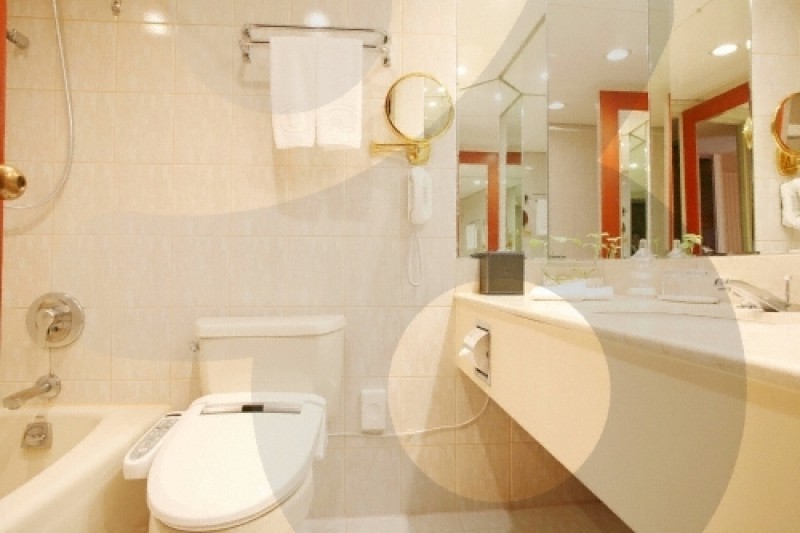 Gyeongju Hilton Hotel  (36/46)