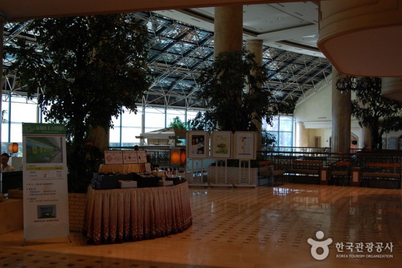 Hotel Hyundai Gyeongju  (9/53)