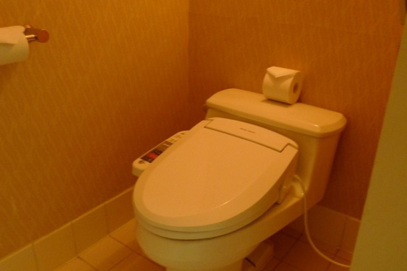 Hotel Hyundai Gyeongju  (25/53)