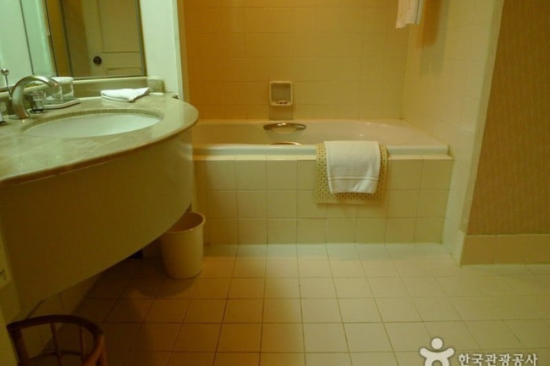 Hotel Hyundai Gyeongju  (26/53)