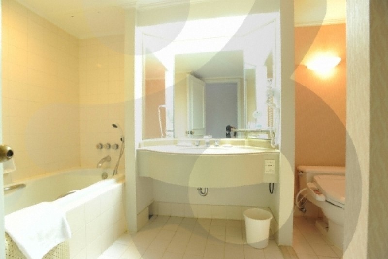 Hotel Hyundai Gyeongju  (38/53)