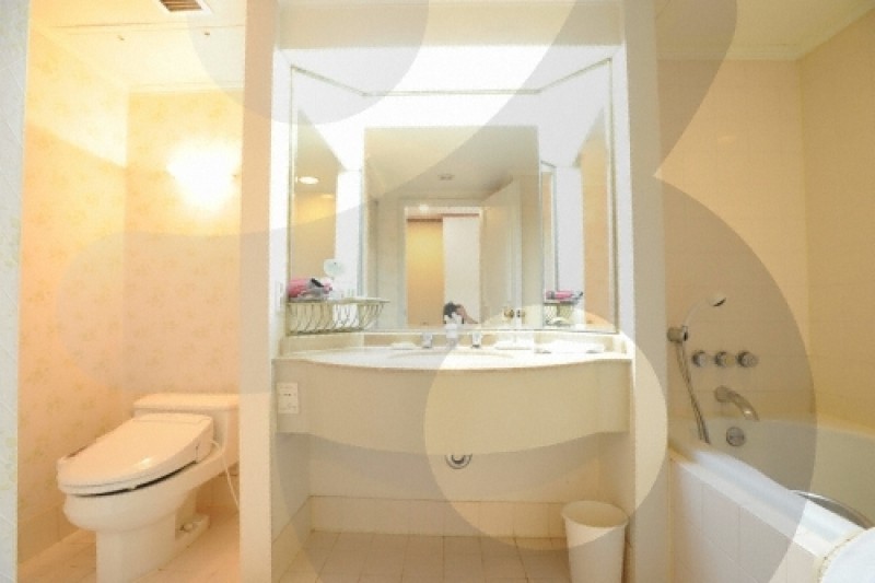 Hotel Hyundai Gyeongju  (43/53)