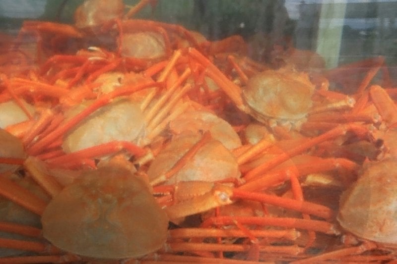 Uljin Snow Crab Festival   (2/5)