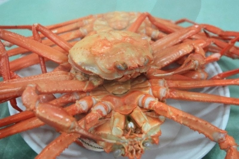 Uljin Snow Crab Festival   (5/5)