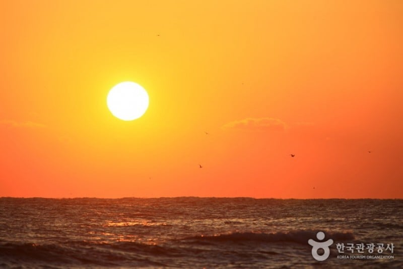 Homigot Sunrise Festival  (4/6)