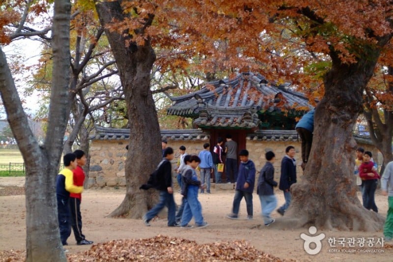Gyeongju Gyerim Forest  (1/10)