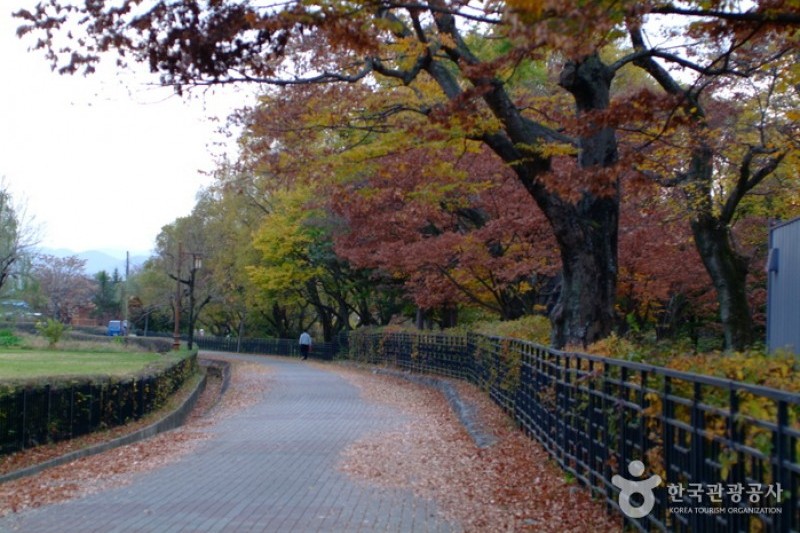 Gyeongju Gyerim Forest  (2/10)