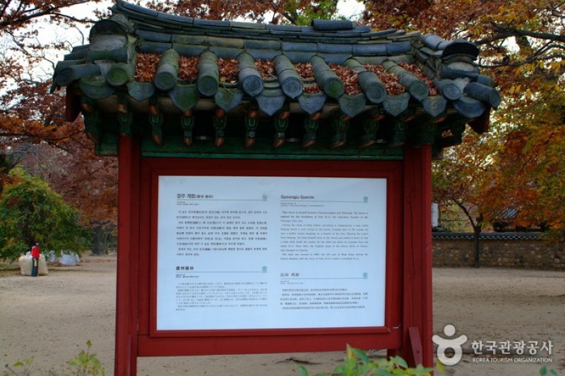 Gyeongju Gyerim Forest  (4/10)