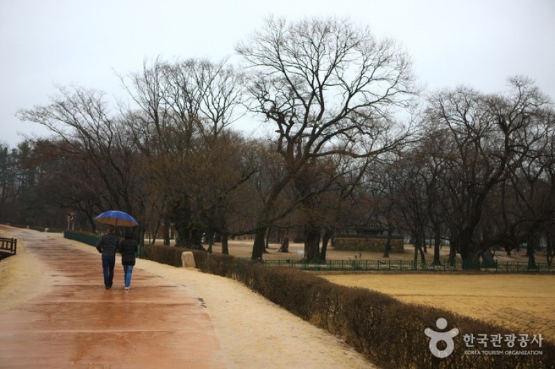 Gyeongju Gyerim Forest  (6/10)