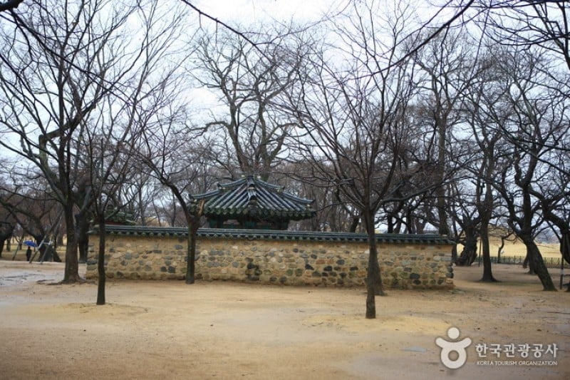 Gyeongju Gyerim Forest  (9/10)