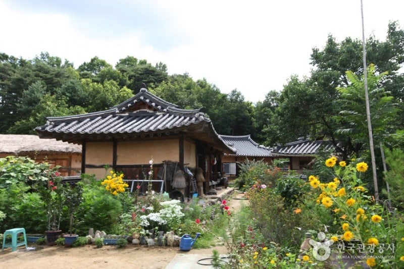 Yeongju Museom Village  (16/45)