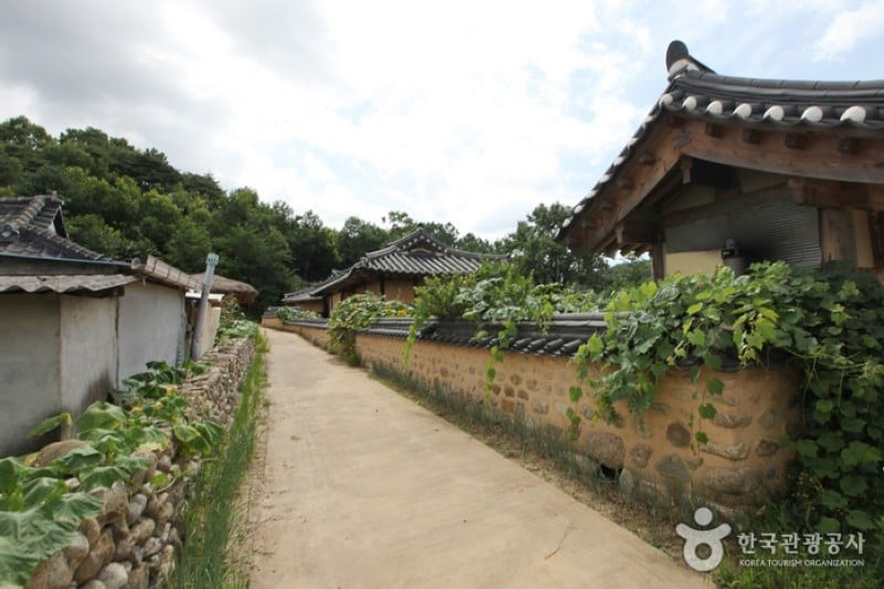 Yeongju Museom Village  (17/45)