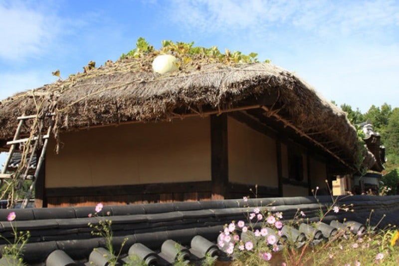 Yeongju Museom Village  (31/45)