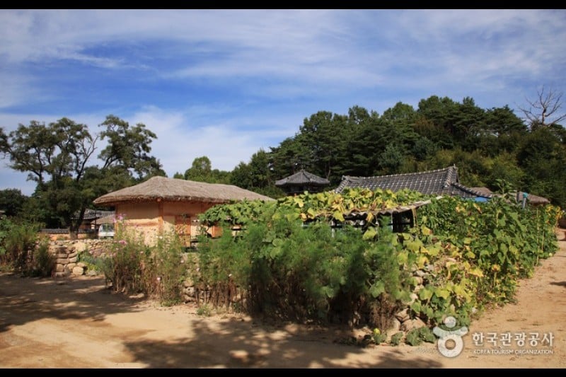Yeongju Museom Village  (39/45)