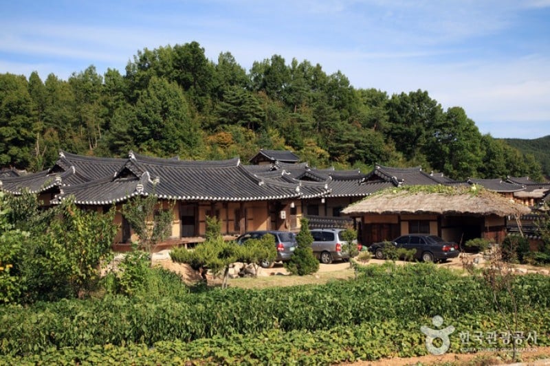 Yeongju Museom Village  (41/45)
