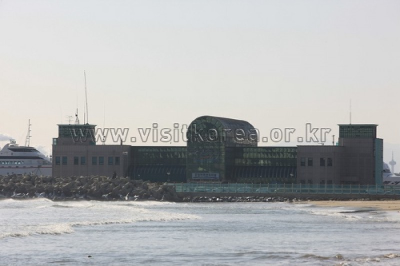 Pohang Port Passenger Terminal  (7/9)