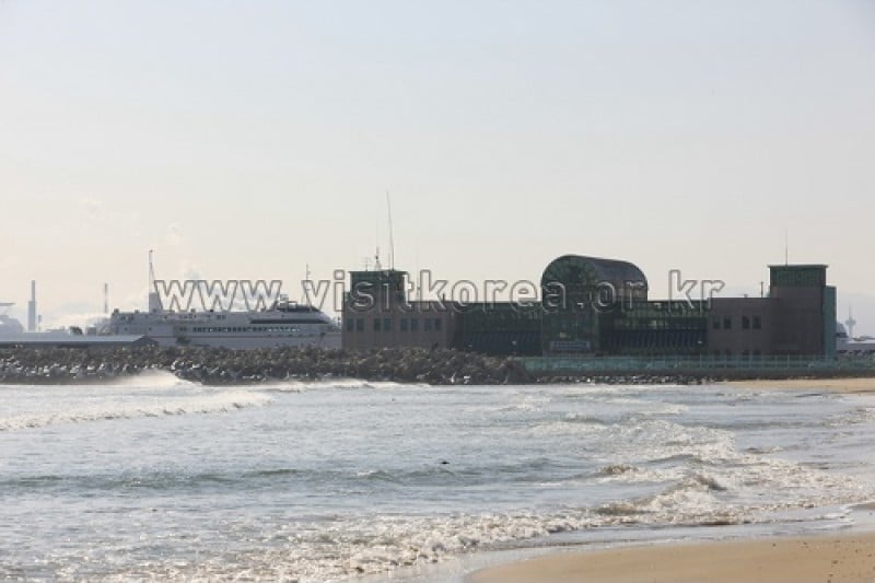 Pohang Port Passenger Terminal  (9/9)