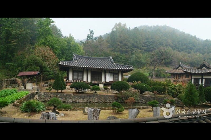 Goseongissi Tapdongpa Jongtaek  (1/5)