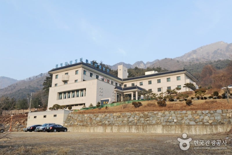 Mungyeong Tourist Hotel  (5/31)