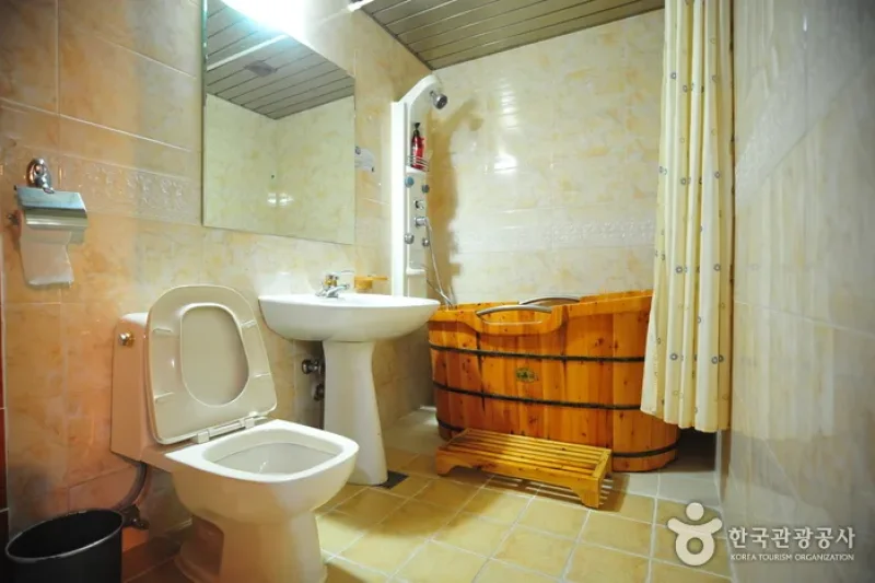 Andong Park Hotel - Goodstay  (9/17)