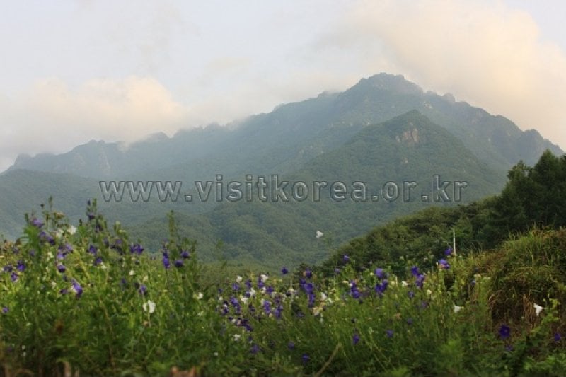 Gayasan National Park  (1/12)