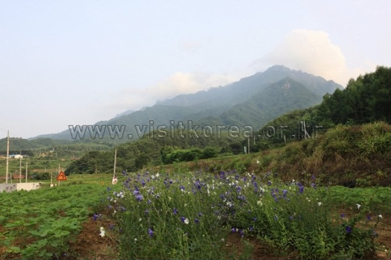 Gayasan National Park  (2/12)
