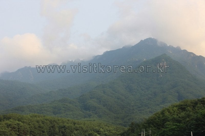 Gayasan National Park  (3/12)