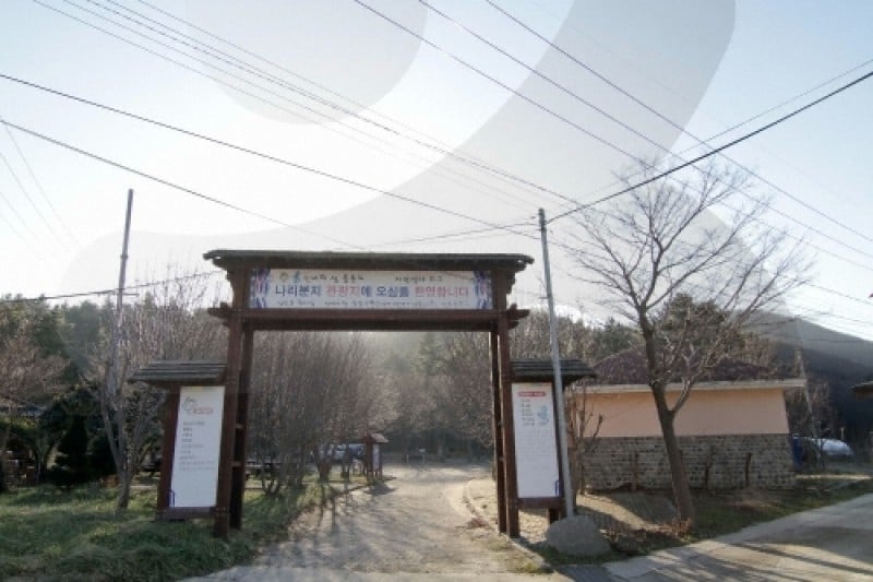 Nari Basin  (8/10)