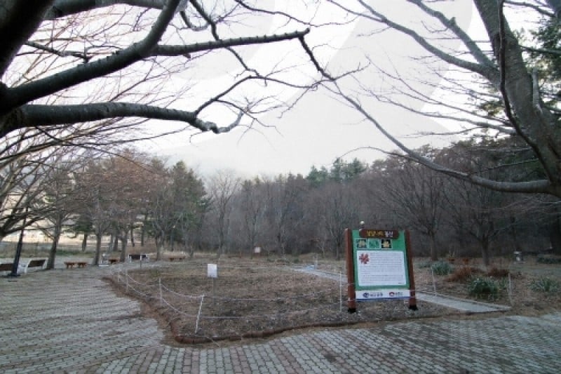 Nari Basin  (9/10)